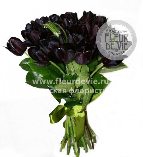 Чёрные тюльпаны, черные тюльпаны купить