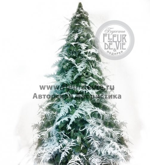 Новогодняя елка с белым аспарагусом (h55cм)