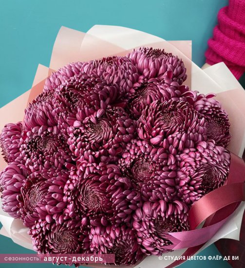 Букет из 19 бордовых хризантем Бигуди пурпур