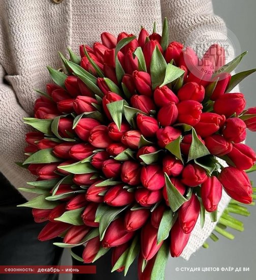 Букет из 49 ярко-красных тюльпанов