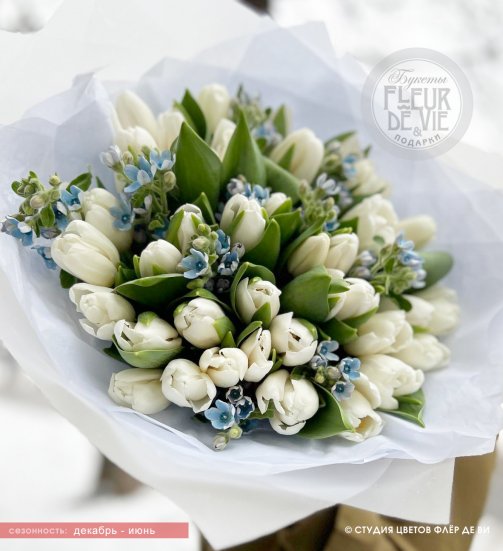 Букет из белых тюльпанов и голубого оксипеталума