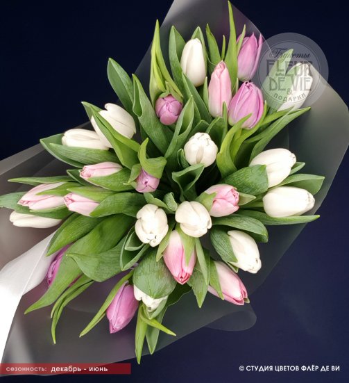 Букет из 29 белых и нежно-розовых гладких тюльпанов