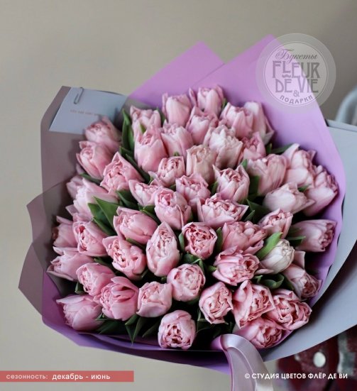 Букет из 49 нежно-розовых тюльпанов Дриммер