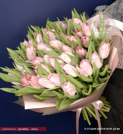 Букет из 49 нежно-розовых гладких тюльпанов