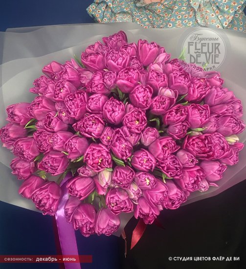 Букет из 49 ярко-фиолетовых тюльпанов